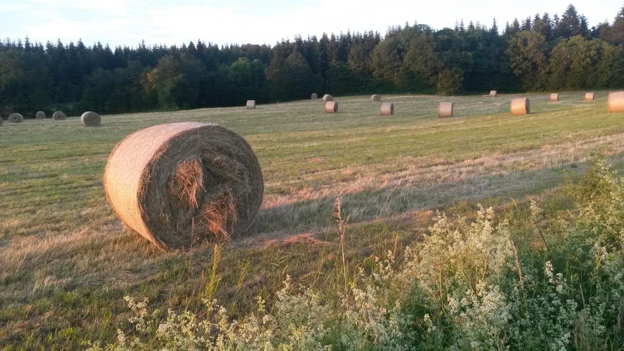 Dans la plaine de la ville d'An à la tombée de la nuit